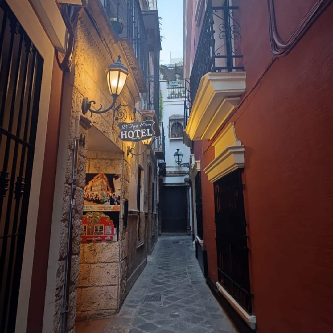 tour a pie por sevilla españa