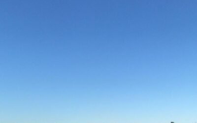 El río Guadalquivir en Sevilla: historia, vida y el alma de la ciudad